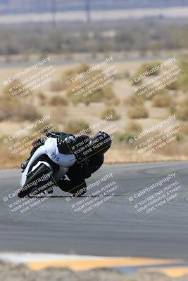 media/May-14-2023-SoCal Trackdays (Sun) [[024eb53b40]]/Turn 5 Tree of Life (1125am)/